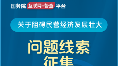 美女的大骚逼逼的视频国务院“互联网+督查”平台公开征集阻碍民营经济发展壮大问题线索